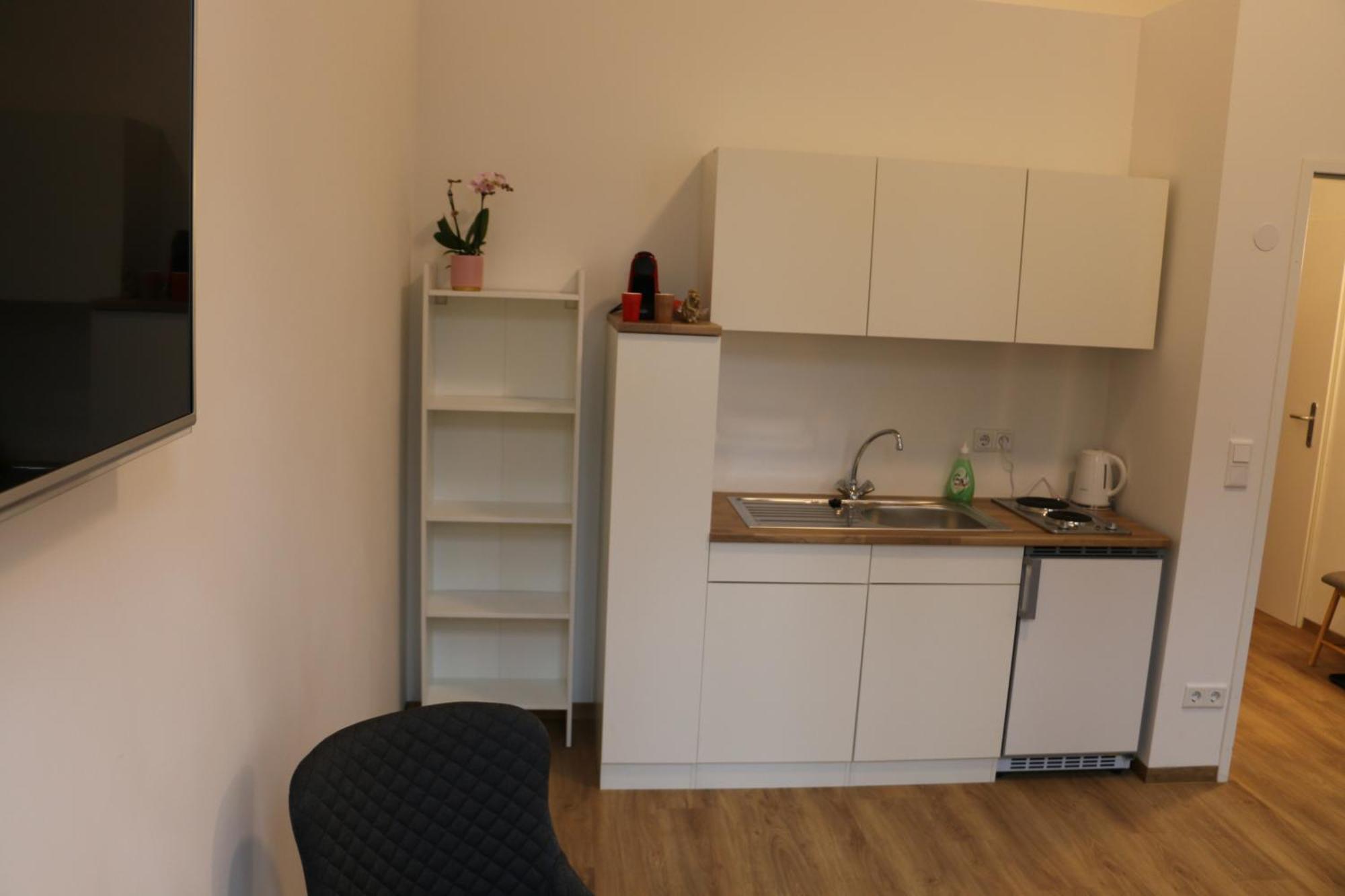 River View Apartment Wohnen Am Fluss Linz Kültér fotó